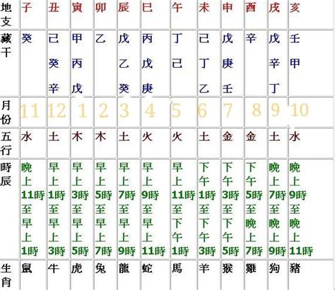 地支怎麼看|圖解：教你認識十二地支